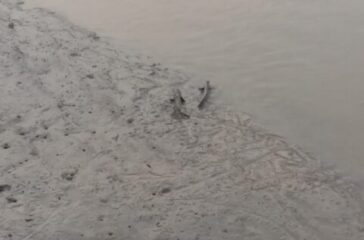 IMG-20260924-WA0001